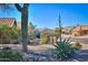 Beautifully landscaped front yard with desert plants, a large cactus, and mountain views in the background at 309 E Mountain Sky Ave, Phoenix, AZ 85048