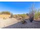 Backyard featuring desert landscaping with gravel, cacti, and native plants for low maintenance at 6589 E Casa De Leon Ln, Gold Canyon, AZ 85118