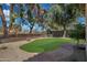 Lush backyard featuring mature trees, manicured lawn, and an inviting stone pathway at 800 W Palo Brea Dr, Litchfield Park, AZ 85340