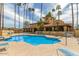 Inviting community pool surrounded by tall palm trees and lounge chairs, perfect for relaxation at 8344 N 21St Dr # I105, Phoenix, AZ 85021