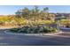 Community entrance featuring a decorative roundabout with mature tree and attractive desert landscaping at 9814 S 11Th St, Phoenix, AZ 85042