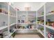 Well-organized pantry featuring ample white shelving for storage and easy access to food items at 1021 W Descanso Canyon Dr, Casa Grande, AZ 85122