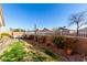 Spacious backyard with green grass, lush plants and seating area perfect for outdoor enjoyment and relaxation at 16643 N 19Th St, Phoenix, AZ 85022