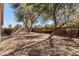 Backyard featuring a privacy block wall fence, desert landscaping, and mature trees at 1903 E San Tan St, Chandler, AZ 85225