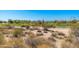 Views of native desert landscaping featuring yellow wildflowers, scrub brush, cactus, and green golf course at 19460 N 84Th St, Scottsdale, AZ 85255