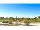 Expansive desert landscape with native plants under a clear blue sky, showcasing the natural beauty of the area at 19460 N 84Th St, Scottsdale, AZ 85255