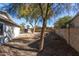 Fenced backyard featuring low-maintenance desert landscaping and a mature tree, with plenty of open space at 2201 S Evergreen Rd, Tempe, AZ 85282