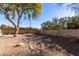 Desert landscaped backyard with a mature tree providing shade and a rock-lined feature for visual interest at 2201 S Evergreen Rd, Tempe, AZ 85282