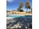 Backyard pool area with desert trees, providing a peaceful spot to unwind and enjoy the outdoors at 2201 S Evergreen Rd, Tempe, AZ 85282