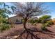 Backyard featuring low-maintenance xeriscape landscaping with gravel, mature shade tree and cacti at 3650 W Denali Dr, Anthem, AZ 85086