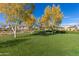 Scenic community lawn area with mature trees, offering a serene outdoor space for residents to enjoy at 5624 S Winchester --, Mesa, AZ 85212