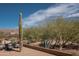 Back patio showcasing desert landscaping and outdoor seating, with mountain views at 5705 S Pinnacle Ln, Gold Canyon, AZ 85118