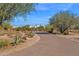 Desert home featuring a private driveway, mature trees, and desert landscaping with native cacti and shrubbery at 5914 E Dale Ln, Cave Creek, AZ 85331