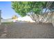 Serene backyard with desert landscaping, mature trees, and a tidy green lawn at 6014 W Bent Tree Dr, Phoenix, AZ 85083