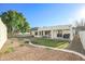 Beautiful backyard featuring green grass, mature trees, and a covered patio for outdoor living at 6014 W Bent Tree Dr, Phoenix, AZ 85083