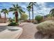 Expansive backyard with palm trees, gravel landscaping, and privacy wall at 9513 E Hercules Dr, Sun Lakes, AZ 85248