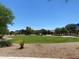 Well-maintained green space in a community park with trees at 10030 W Illini St, Tolleson, AZ 85353