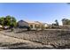 Exterior home view showcasing a desert landscaped backyard and covered patio for relaxed outdoor living at 11115 E Bellflower Ct, Sun Lakes, AZ 85248