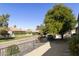 Lush backyard landscaping and trees overlooking a grassy common area at 11115 E Bellflower Ct, Sun Lakes, AZ 85248