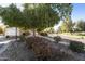 Lush front yard featuring mature trees, desert landscaping, and a tranquil neighborhood street at 11115 E Bellflower Ct, Sun Lakes, AZ 85248