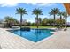 Beautiful backyard pool and palm trees and lounge area at 11222 N 73Rd St, Scottsdale, AZ 85260