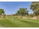 Lush green golf course fairway with mature trees and clear blue skies, perfect for a relaxing game at 18624 N 92Nd Dr, Peoria, AZ 85382