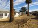 View of the backyard with sparse landscaping, palm trees, and white exterior at 3345 W Laurel Ln, Phoenix, AZ 85029