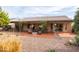 Exterior back yard with covered patio, desert landscaping and mature plants at 3648 N 162Nd Ave, Goodyear, AZ 85395