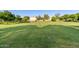 Expansive green lawn area, ideal for recreation and relaxation, enhances community's appeal at 3708 E Bruce Ave, Gilbert, AZ 85234