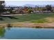 Beautiful backyard view with a serene pond, lush green grass, and surrounding homes at 4506 E Arapahoe St, Phoenix, AZ 85044