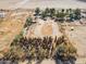 Aerial view of a large rural plot with palm trees and desert vegetation at 50880 W Val Vista Rd, Maricopa, AZ 85139