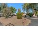 Large backyard showcasing a tire swing and mature trees, with desert landscaping providing a low-maintenance outdoor space at 6420 E Gary Rd, Scottsdale, AZ 85254