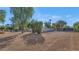 Large backyard with ample space and mature shade trees at 6420 E Gary Rd, Scottsdale, AZ 85254