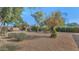 Spacious backyard featuring a tire swing and mature trees, offering plenty of room for outdoor activities and relaxation at 6420 E Gary Rd, Scottsdale, AZ 85254