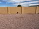 Enclosed backyard showcasing a block wall for privacy at 970 W Diamond Rim Dr, Casa Grande, AZ 85122