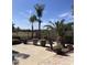 Landscaped backyard features mature palm trees, pavers, and decorative rock at 9765 E Lompoc Ave, Mesa, AZ 85209