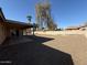 Spacious backyard with large tree, block fence, and covered patio at 1954 W Kerry Ln, Phoenix, AZ 85027