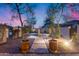 Landscaped backyard featuring a stone path leading to a fountain, complemented by trees in pots at 28826 N 67Th Dr, Peoria, AZ 85383