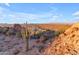 Scenic shot showcases the desert landscape with the neighborhood on the horizon at 297 W Chase St, San Tan Valley, AZ 85143