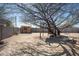 Backyard featuring a tree with tire swing, shed, and a wooden bench at 3545 N Hohokam Dr, Eloy, AZ 85131