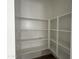 Walk-in pantry features ample shelving space for organized storage of food and supplies at 4513 W 95Th Dr, Tolleson, AZ 85353
