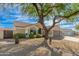 Desert landscaped front yard with a mature shade tree and a view of the home's front entrance and garage at 4887 E Armor St, Cave Creek, AZ 85331