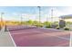 Outdoor pickleball court featuring new nets and perimeter fencing at 7165 S Bruins Rd, Gold Canyon, AZ 85118