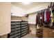 Walk-in closet with drawers, shelves, and hanging racks for optimal storage solutions at 723 W Canary Way, Chandler, AZ 85286