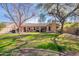 Lush backyard with mature trees, green grass, and a covered patio, perfect for outdoor entertaining at 1310 S Vine Ct, Gilbert, AZ 85233