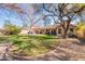 Lush backyard with mature trees, green grass, and a covered patio, perfect for outdoor entertaining at 1310 S Vine Ct, Gilbert, AZ 85233