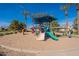 Community playground featuring slides and other colorful play equipment and tall palm trees at 1310 S Vine Ct, Gilbert, AZ 85233