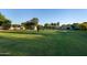 Large backyard with lush green grass and mature trees, showcasing the property's expansive outdoor space at 2106 W Shawnee Dr, Chandler, AZ 85224
