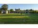 Expansive green lawn showcasing the home's exterior with mature trees and landscaping under a clear blue sky at 2106 W Shawnee Dr, Chandler, AZ 85224