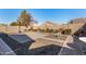 Well-maintained backyard features a basketball hoop, patio, and roses at 2324 W Melody Dr, Phoenix, AZ 85041